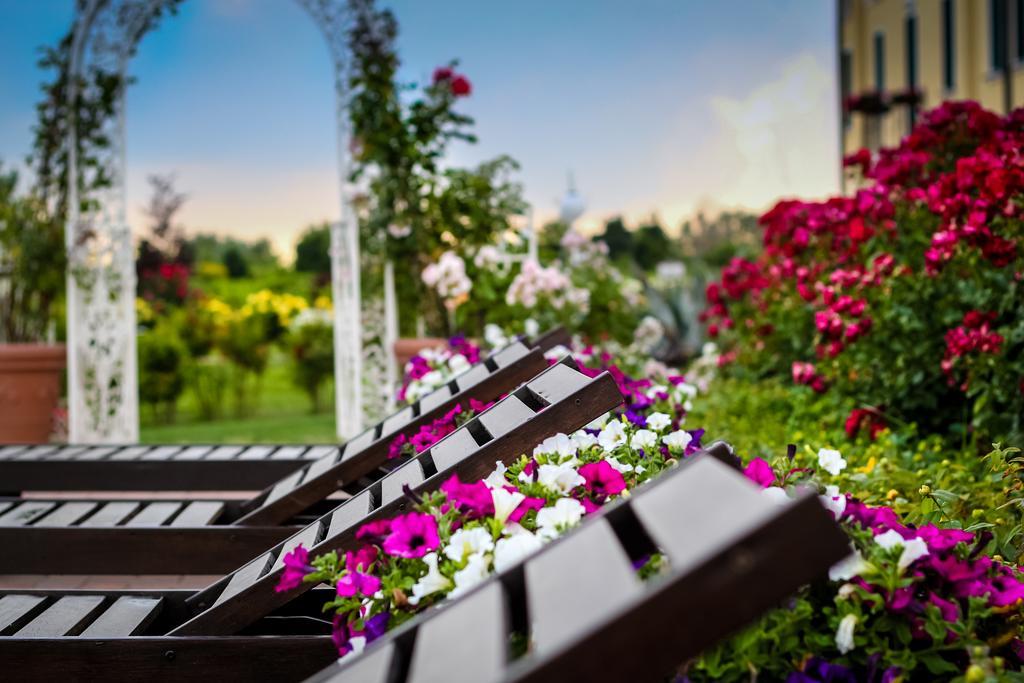 Millefiori La Corte Delle Rose Βίλα Ροβίγκο Εξωτερικό φωτογραφία